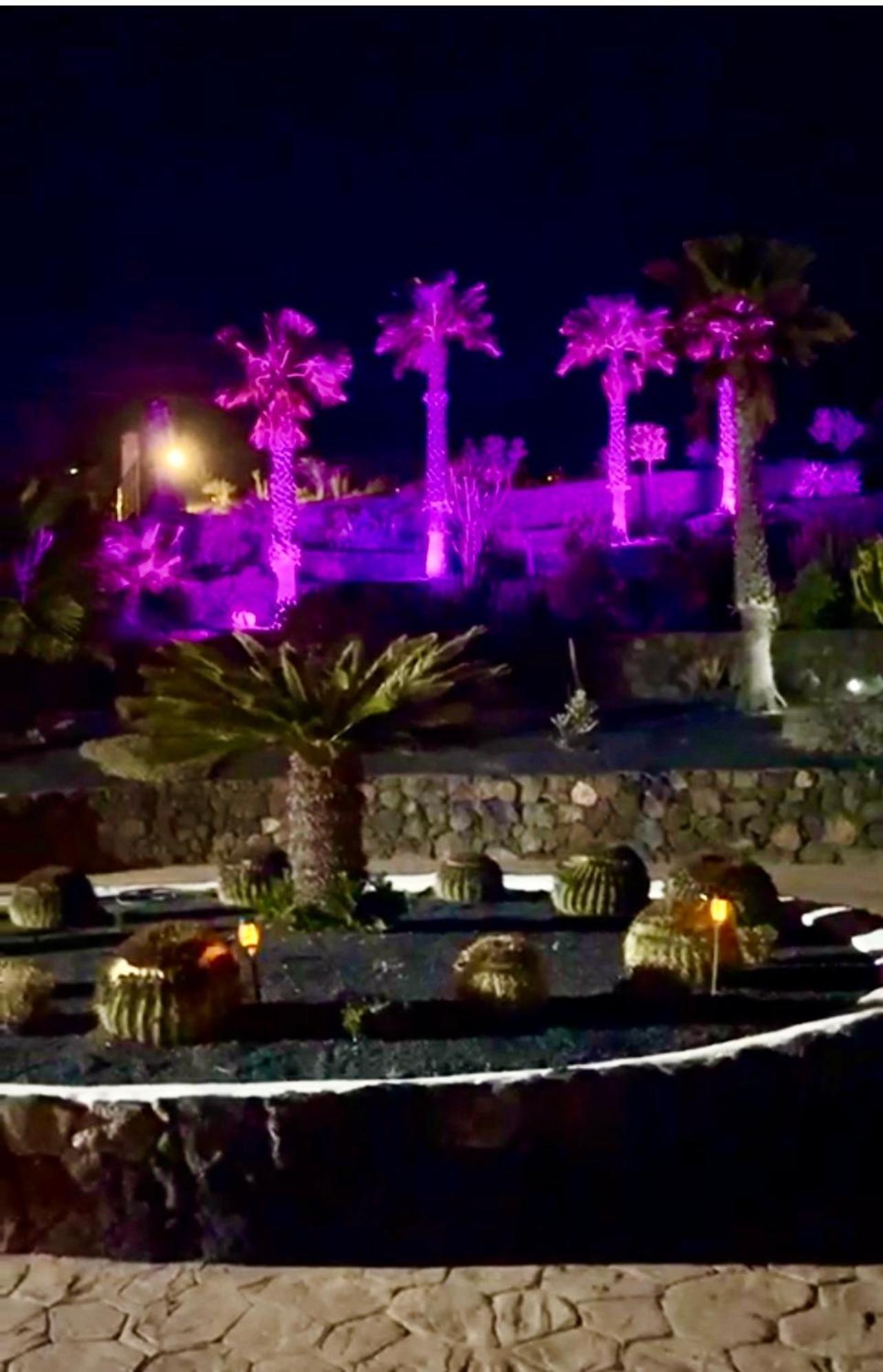 Castillo Lanzarote Villa Winni - Luxury Villa - Pet Friendly With Heated Pool La Asomada  Buitenkant foto