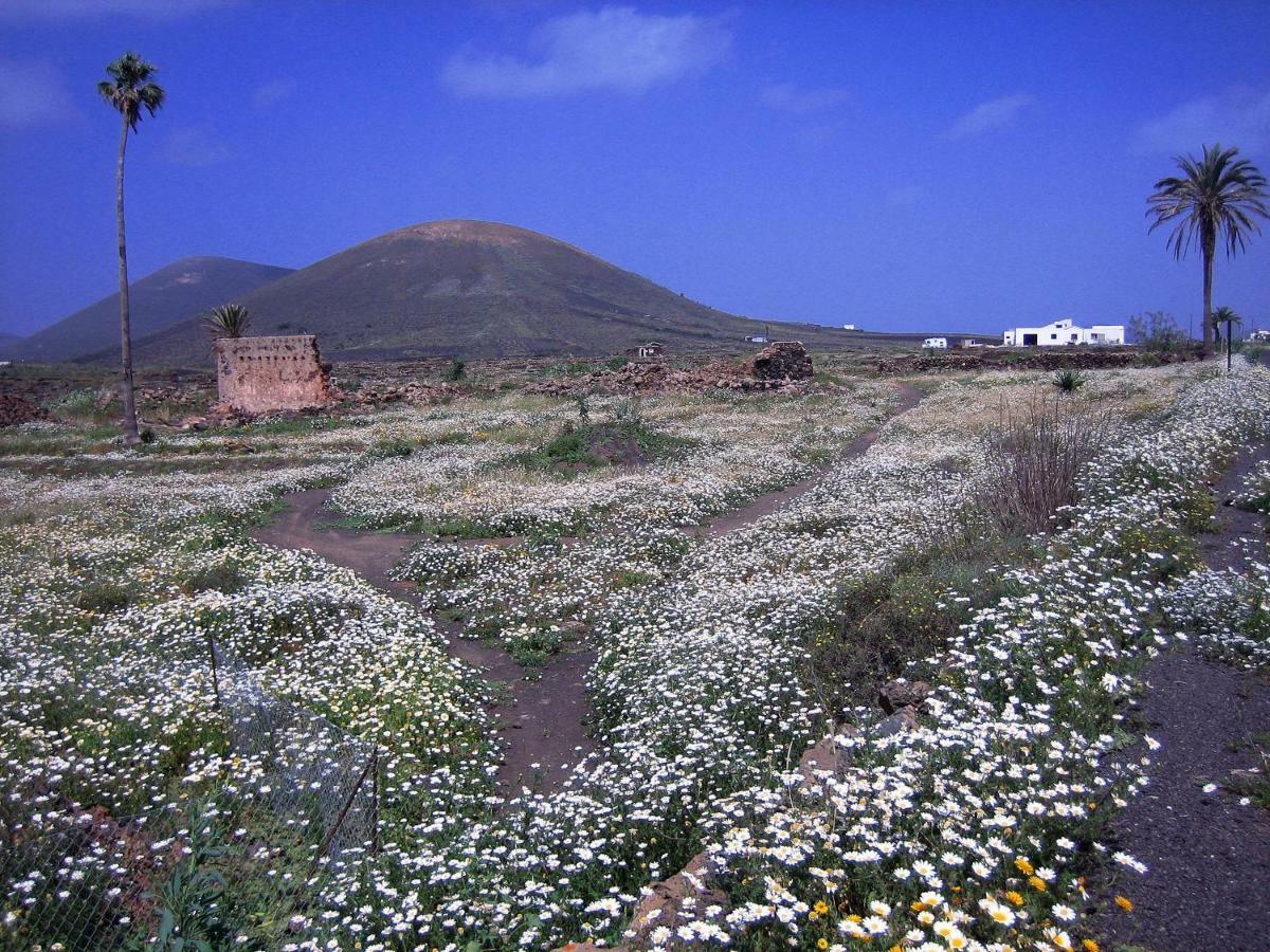 Castillo Lanzarote Villa Winni - Luxury Villa - Pet Friendly With Heated Pool La Asomada  Buitenkant foto