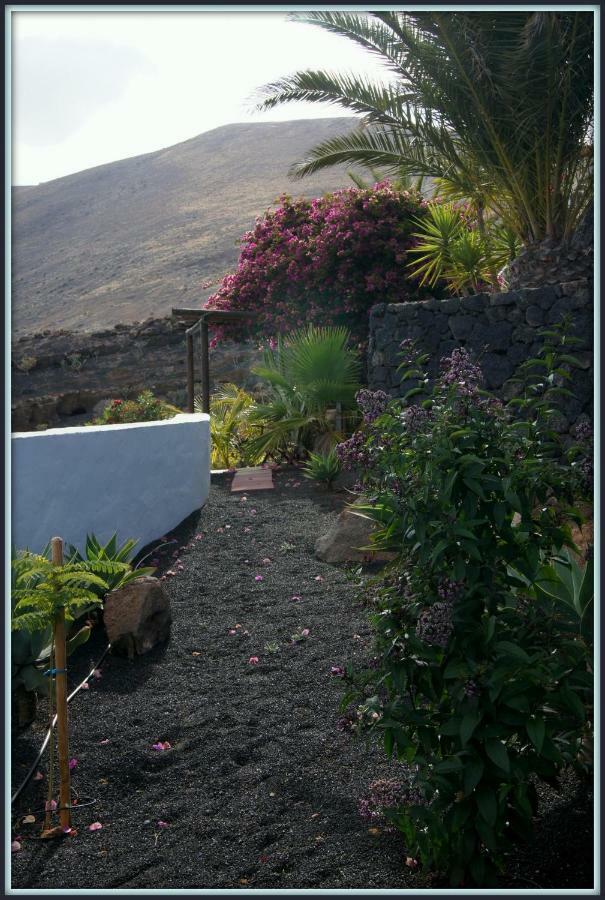 Castillo Lanzarote Villa Winni - Luxury Villa - Pet Friendly With Heated Pool La Asomada  Buitenkant foto